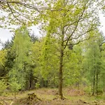 Brathay Hall - Brathay Trust 3*