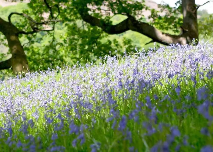 Brathay Hall - Brathay Trust 3*