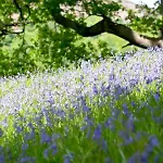Brathay Hall - Brathay Trust 3*