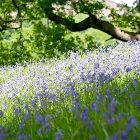 Brathay Hall - Brathay Trust 3*