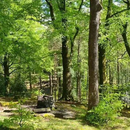 Penzion Brathay Hall - Brathay Trust Ambleside